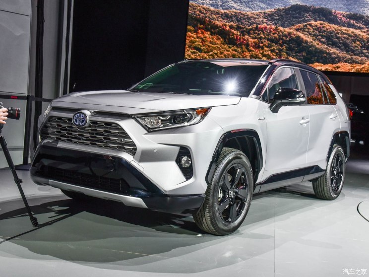 丰田(进口) 丰田rav4(进口) 2019款 基本型