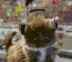 开车听音乐能缓解路怒症,但,也可能被扣分?