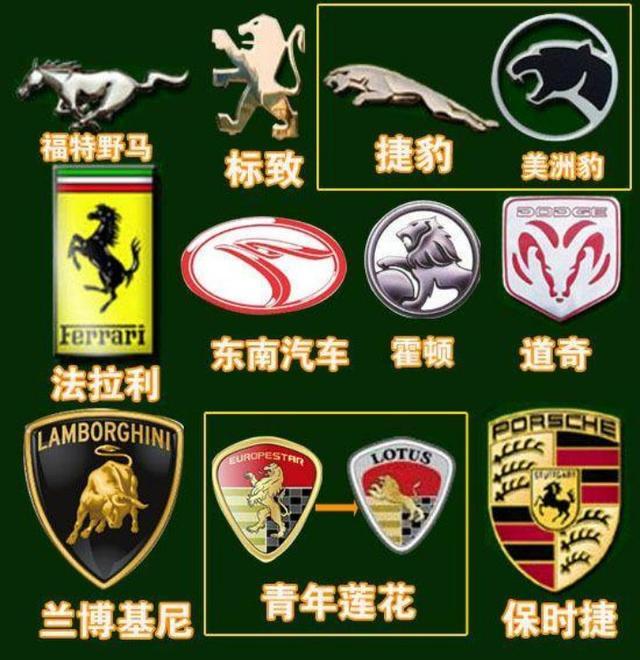 这些昆虫鸟类动物车标都价值不菲老司机都认不全
