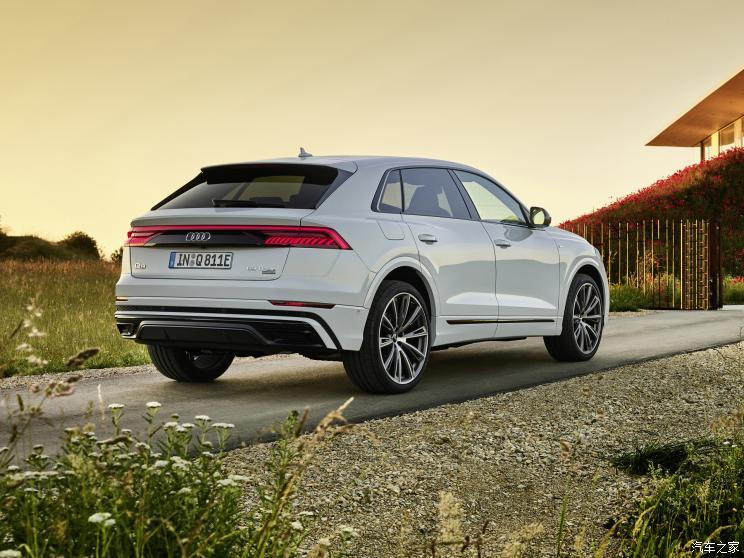 2020款奥迪q8,2020款奥迪q8最新款 奥迪(进口) 奥迪q8新能源 2020款 60 tfsi e quattro s line 欧洲版
