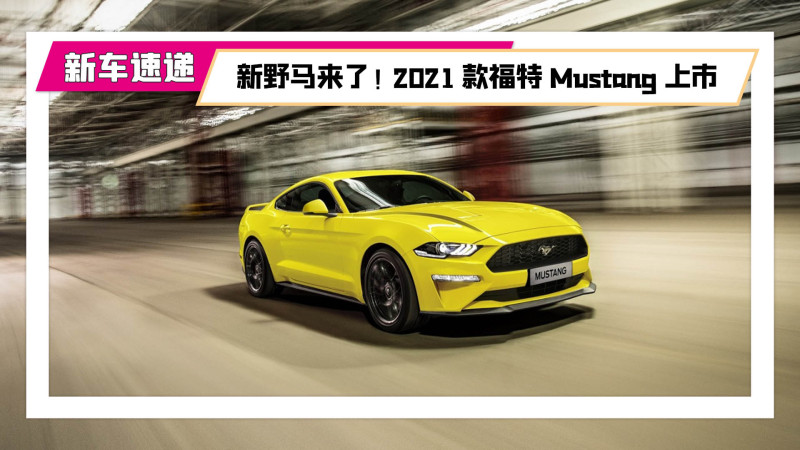 新野马来了!2021款福特mustang上市