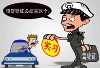 关于驾照实习期 你想知道的问题全在这