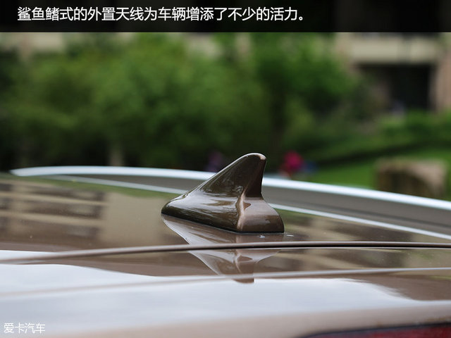 实拍 实拍