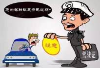 史上最全面最详细的驾驶证知识讲解