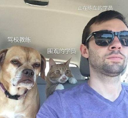 考驾照：你的教练鲜为人知的一面