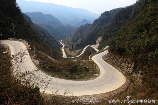 科目一科目四最揪心题目，你会怎么选？