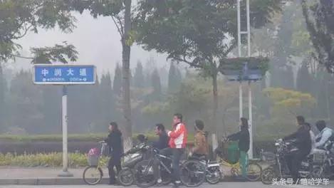 雾天来袭，如何安全行车