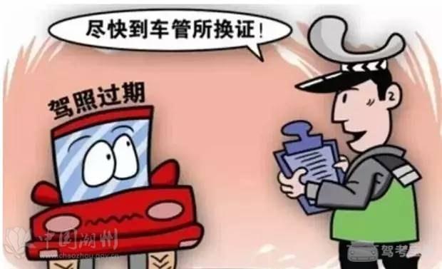 实用！有驾照的人都需要知道的驾照知识