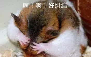 新手学车手动挡好还是自动挡好？