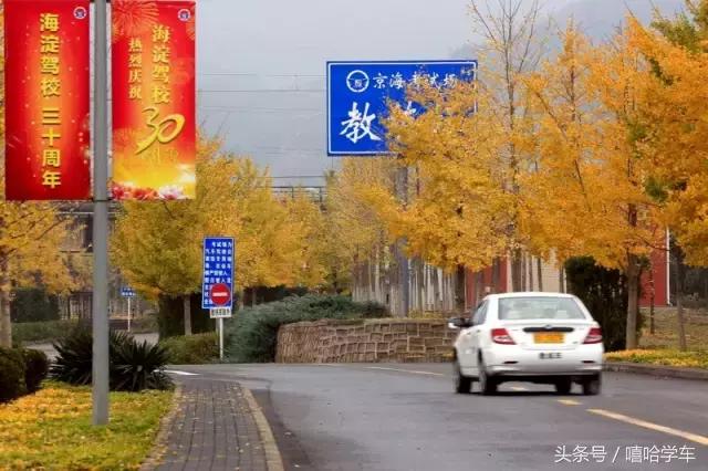 你必须要知道的四个为什么？