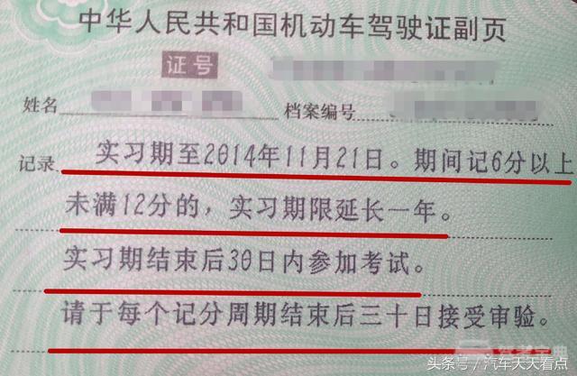 C1驾照国内新规定！还有你不知道的在这里！
