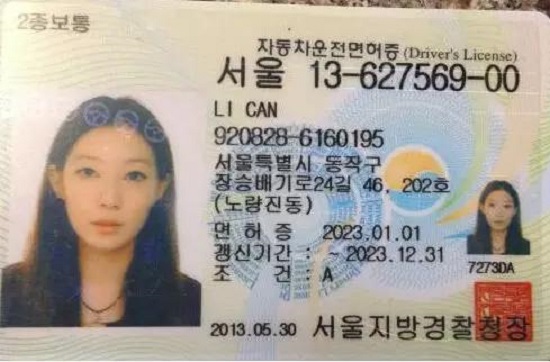各国驾照