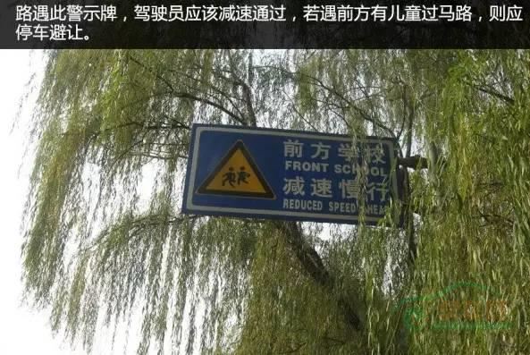 让行与先行的那些事 你知道多少