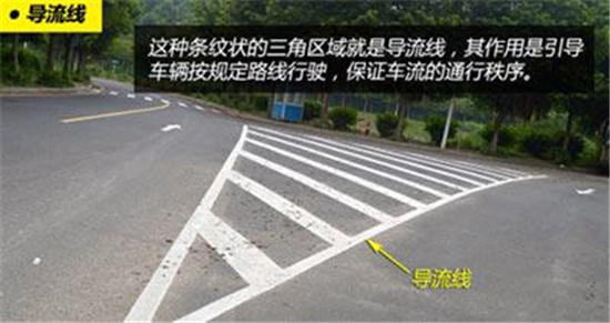 马路上哪些线不能压