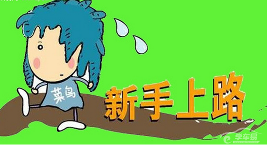 专治拿到驾照不敢上路