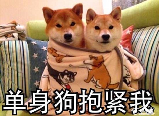 单身狗