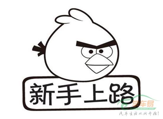 全面解读 新手上路五大建议