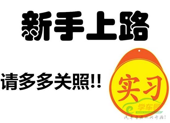 新手上路问题多 驾驶要素告你说.jpg