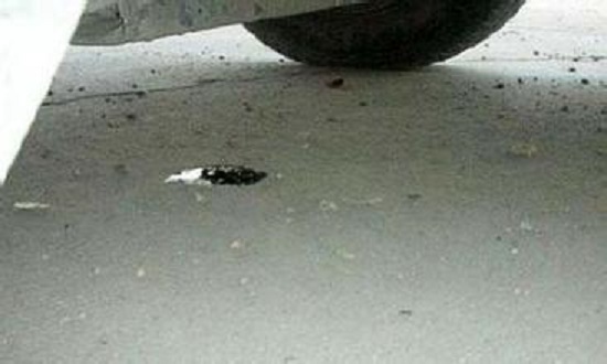 汽车漏油 汽车漏油