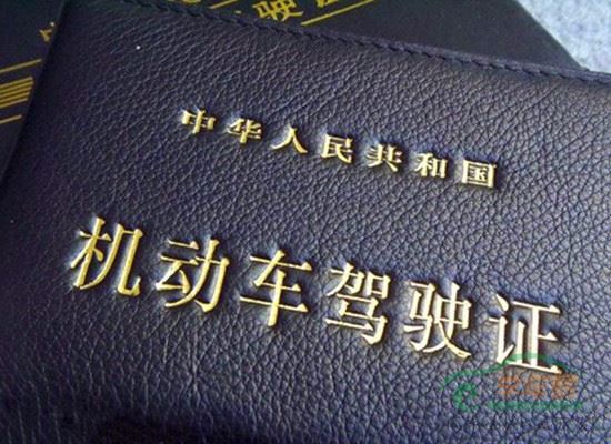 手持驾照走天下 你必知的驾照知识