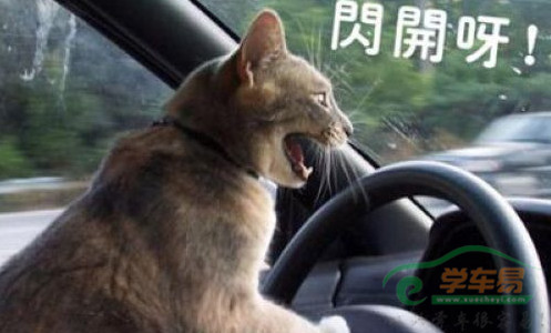 学车趣事