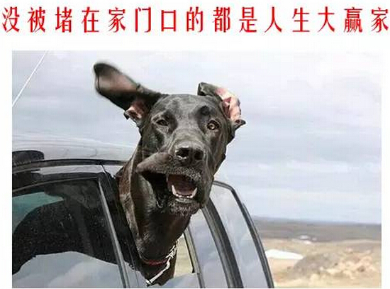 你是在逗我么?听逗比说有车和没车的区别 你是在逗我么?听逗比说有车和没车的区别