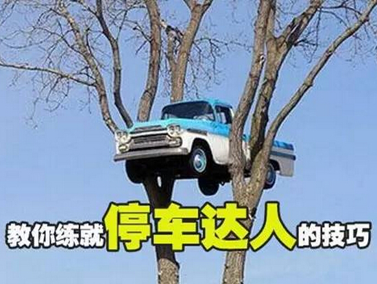 你是在逗我么?听逗比说有车和没车的区别 你是在逗我么?听逗比说有车和没车的区别