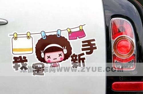 奔跑在路上，你见过它们吗？