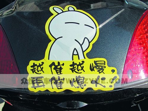 奔跑在路上，你见过它们吗？