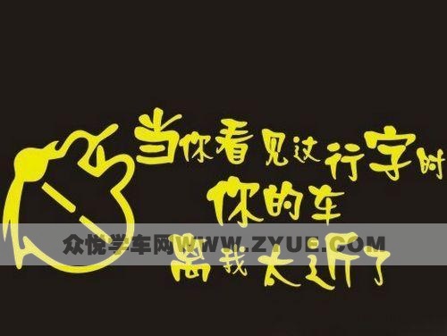 奔跑在路上，你见过它们吗？