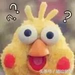 科目二：你再也不怕走弯路了！