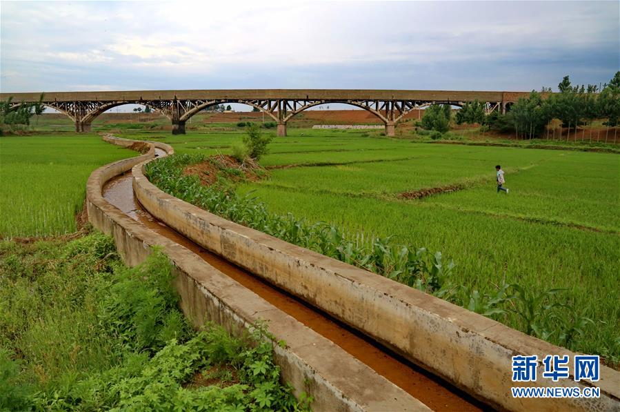 河北省卢龙县的 一渠百库是以一条纵贯全县的干渠为主,众多分干渠