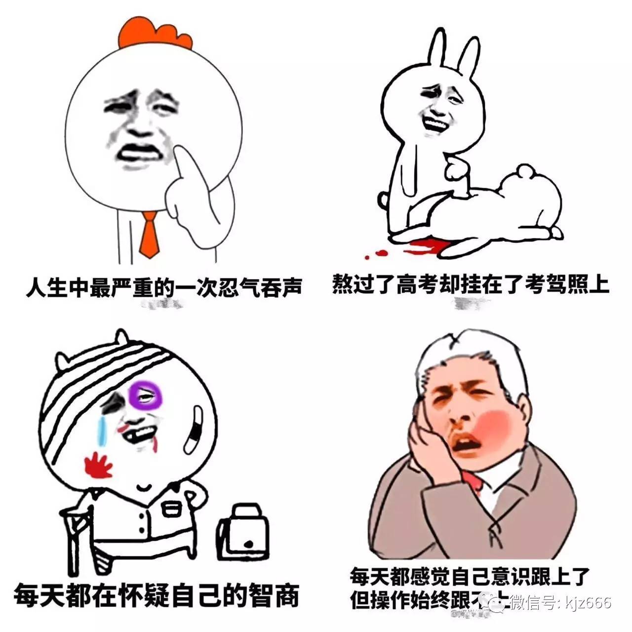 駕考寶典