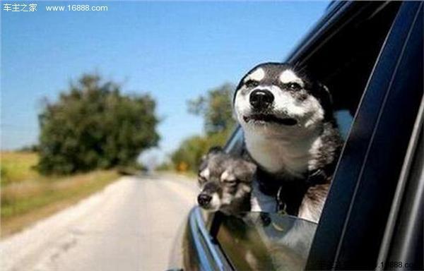 多省30%超级汽油研制成功? 还是含泪自己省吧