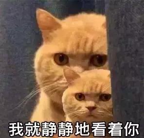 科目二的最新扣分标准，你清楚吗？