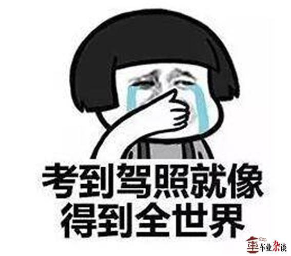 驾考新规将至,它是画蛇添足还是画龙点睛? 驾考新规将至,它是画蛇添足还是画龙点睛?