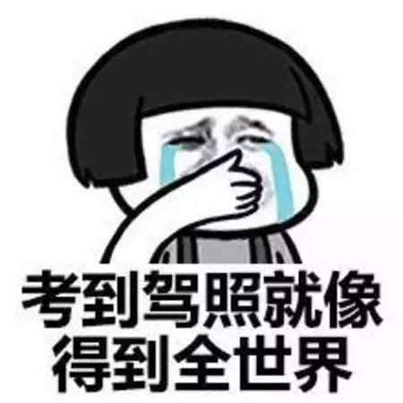 看看过来人分享的经验- 驾考宝典