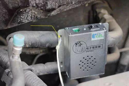 可恶!为揪出老鼠却把百万豪车拆成空壳!这些防鼠绝招要先备好 可恶!为揪出老鼠却把百万豪车拆成空壳!这些防鼠绝招要先备好