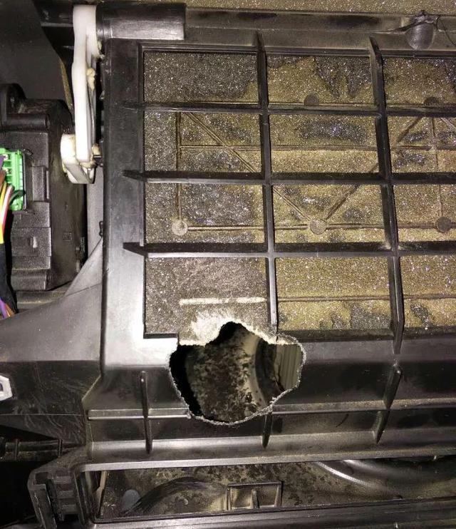 可恶!为揪出老鼠却把百万豪车拆成空壳!这些防鼠绝招要先备好 可恶!为揪出老鼠却把百万豪车拆成空壳!这些防鼠绝招要先备好