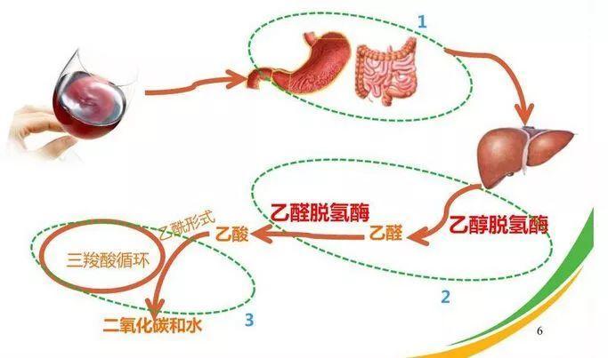 喝完酒多长时间可以开车?听听交警怎么说.