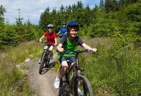 儿童自行车品牌推荐全球十大儿童山地自行车品牌排行榜
