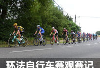 领略自行车运动的魅力 2019环法观赛记