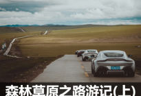 一路向北 阿斯顿·马丁森林草原游记上