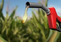 数据显示，乙醇汽油比纯汽油成本更高？