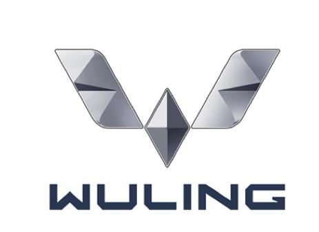 五菱全球银标发布,中国制造扬眉海外还靠"神车"?