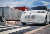 动物系列添新丁，欧拉R2定名“欧拉白猫” ，7月中旬上市