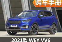推荐低配车型 2021款WEY VV6购车手册