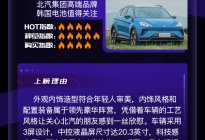 2020北京车展：用户心愿买单热车榜 纯电SUV篇