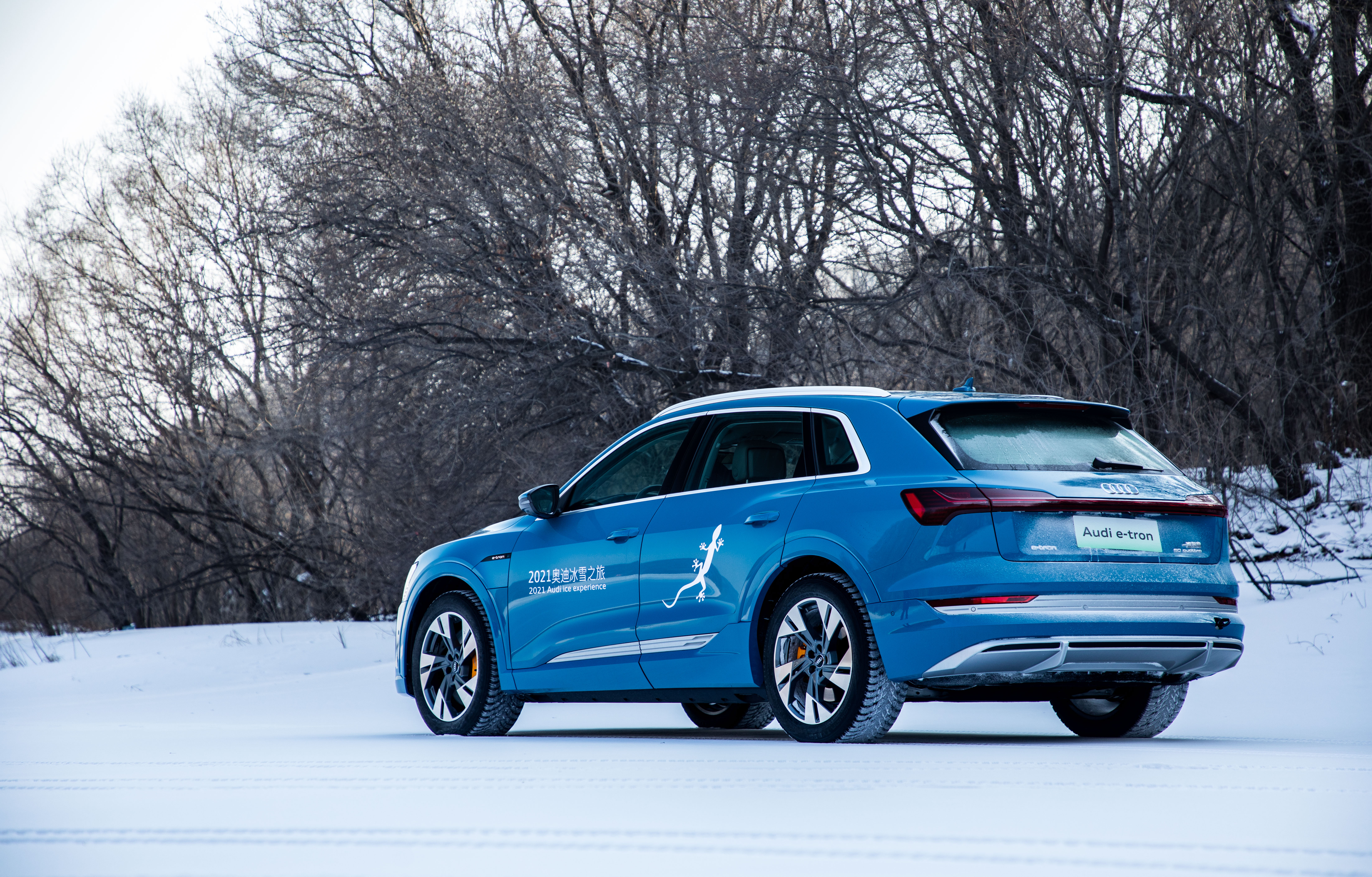 讲真 没有什么冰雪路面是奥迪quattro不能解决的 - 汽车大全!