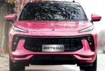 新增紫荆粉车漆 东风风行T5 EVO将于3月22日上市